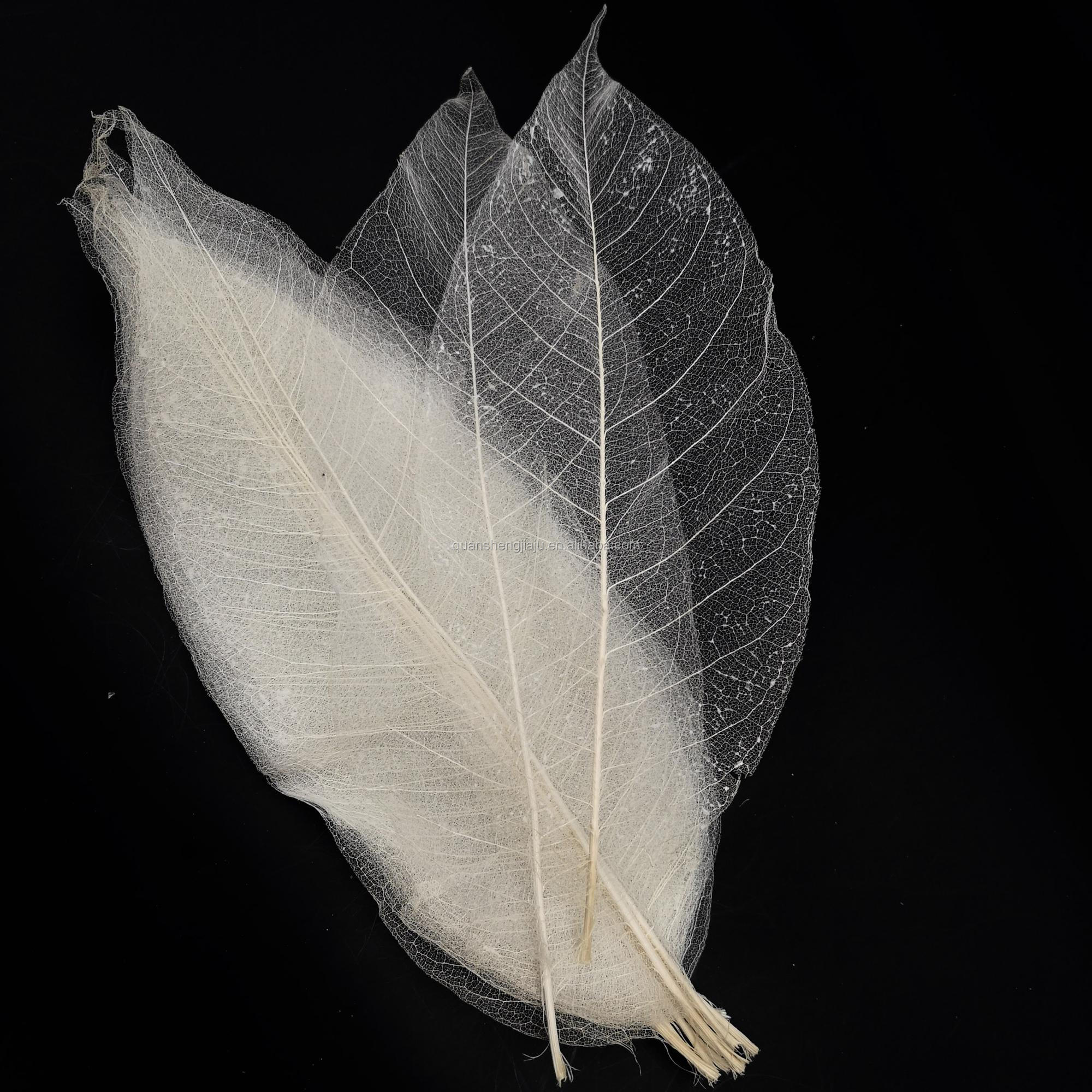 Multi-Color Natural Dried Flowers and Skeleton Leaves Vein Decoration Flower (1)