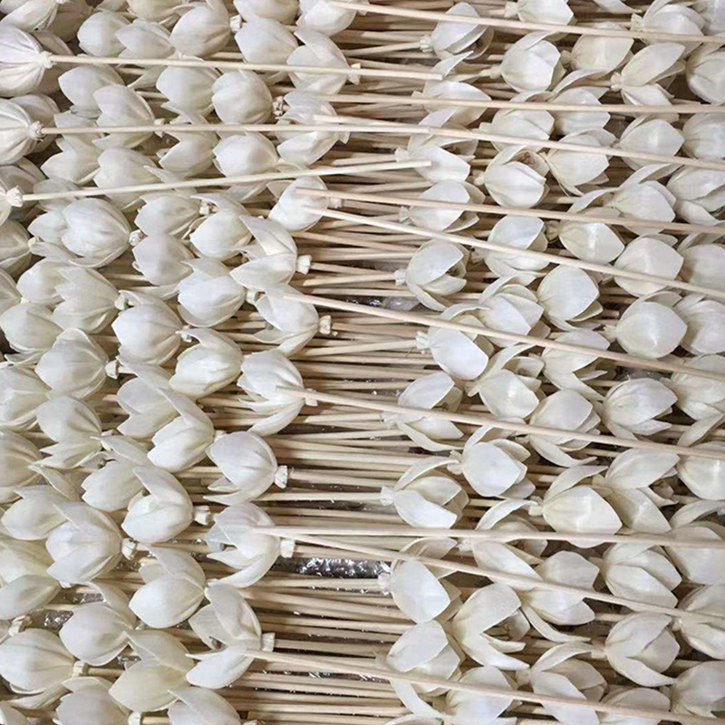 Wholesale Handmade Artificial Flower 100% Natural Sola Flowers (2)